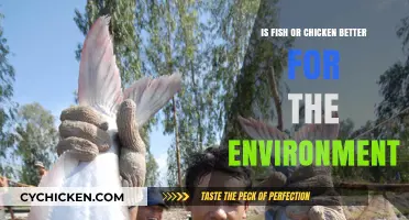 Fish vs. Chicken: Which Protein Choice is Greener for Our Planet?