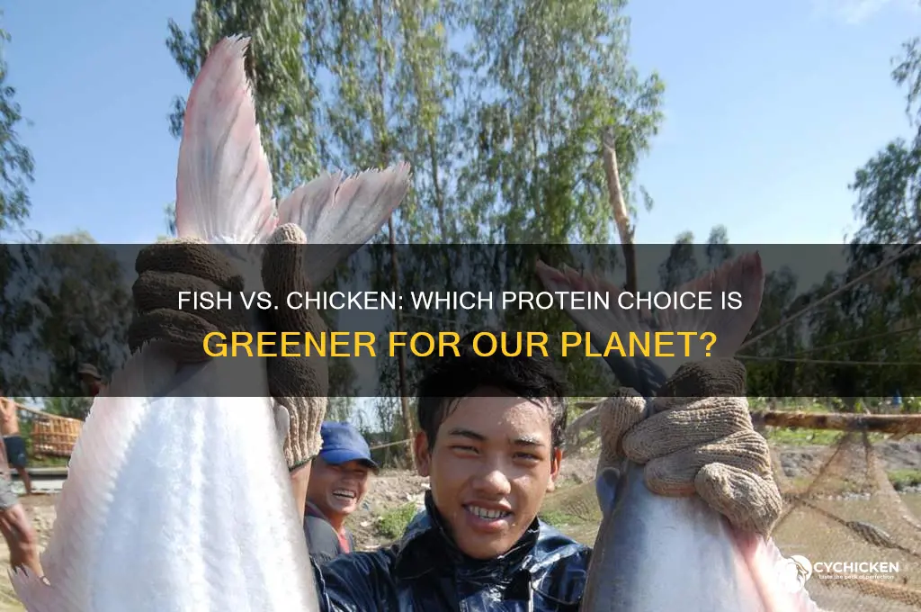 is fish or chicken better for the environment