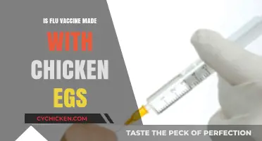 Is the Flu Vaccine Made with Chicken Eggs? Facts Revealed