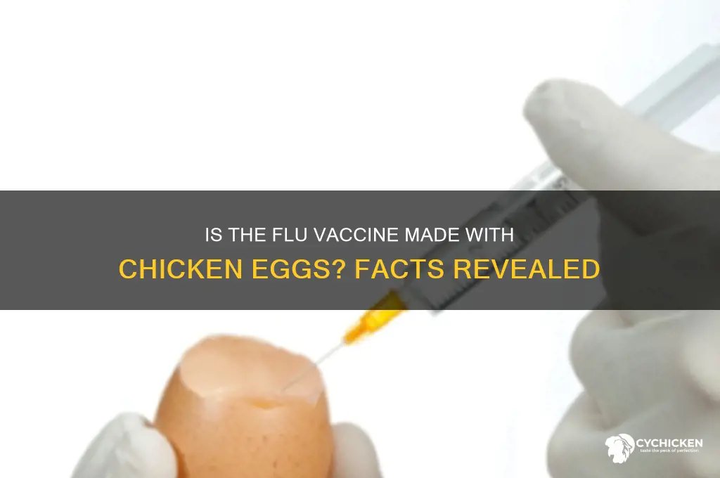 is flu vaccine made with chicken egs