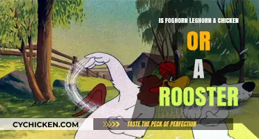 Foghorn Leghorn's Identity: Unraveling the Chicken vs. Rooster Debate