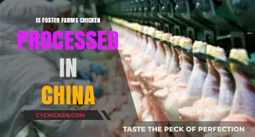 Is Foster Farms Chicken Processed in China? Uncovering the Truth