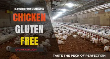 Is Foster Farms Shredded Chicken Gluten-Free? A Complete Guide