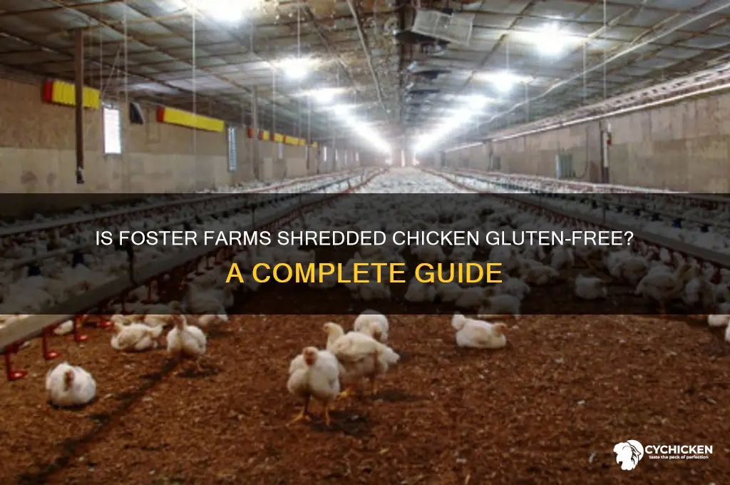 is foster farms shredded chicken gluten free