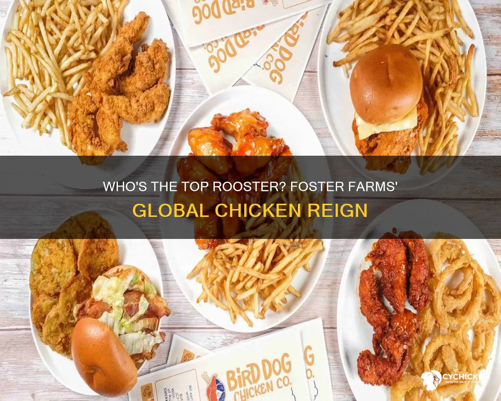 is foster farms the biggest chicken producer in the world