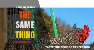 Foul vs. Chicken: Unraveling the Culinary Confusion and Differences