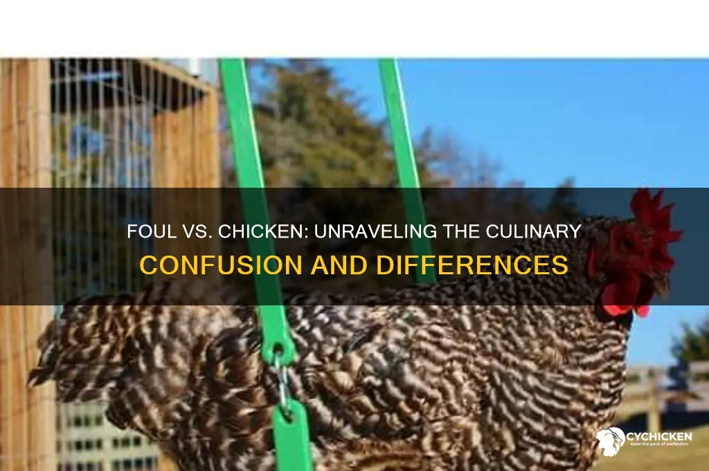 is foul and chicken the same thing
