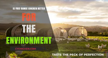 Free Range Chicken: Eco-Friendly Choice or Environmental Myth?