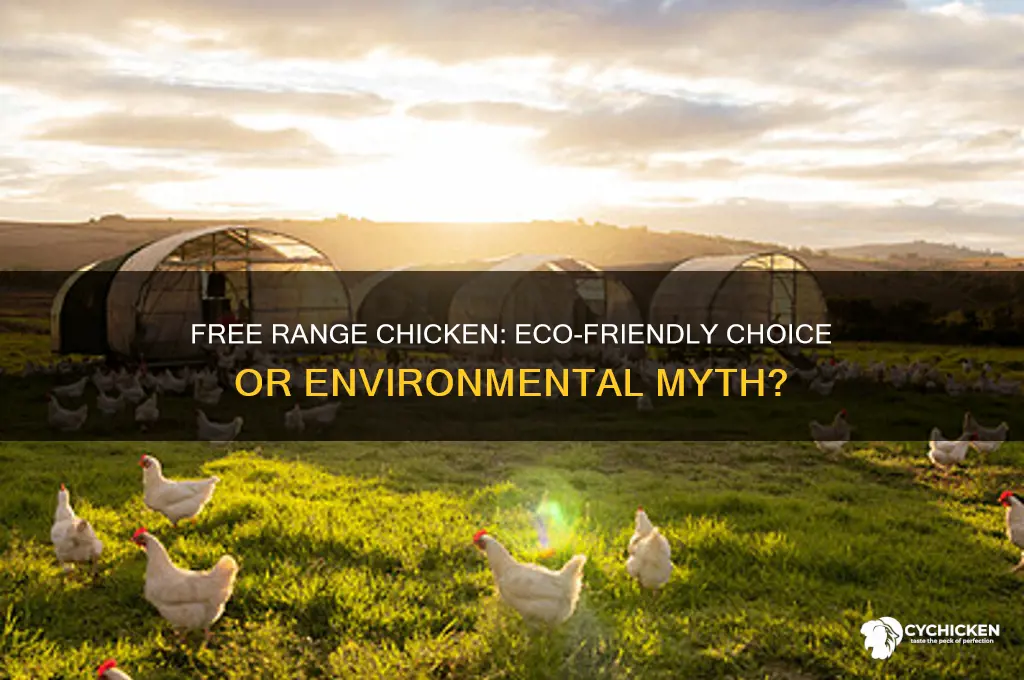 is free range chicken better for the environment