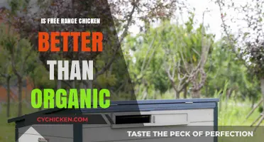 Free Range vs. Organic Chicken: Which is Healthier and More Ethical?