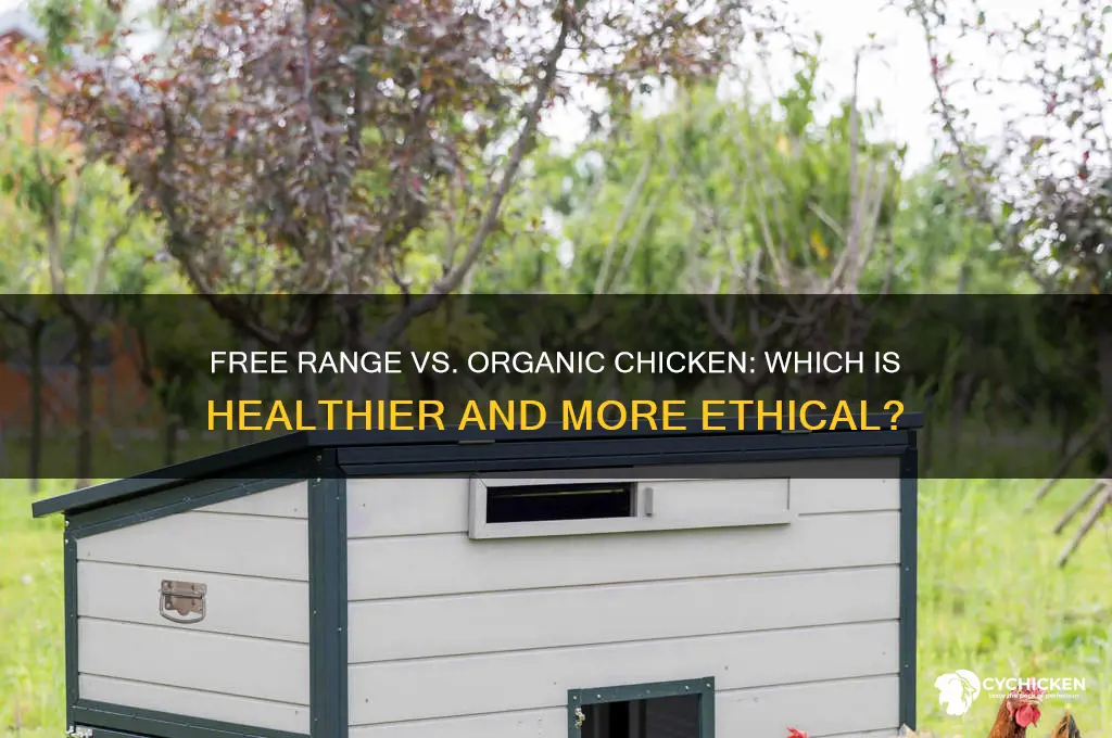 is free range chicken better than organic
