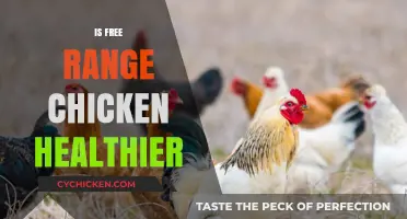 Exploring the Health Benefits of Free-Range Chicken: A Nutritional Guide