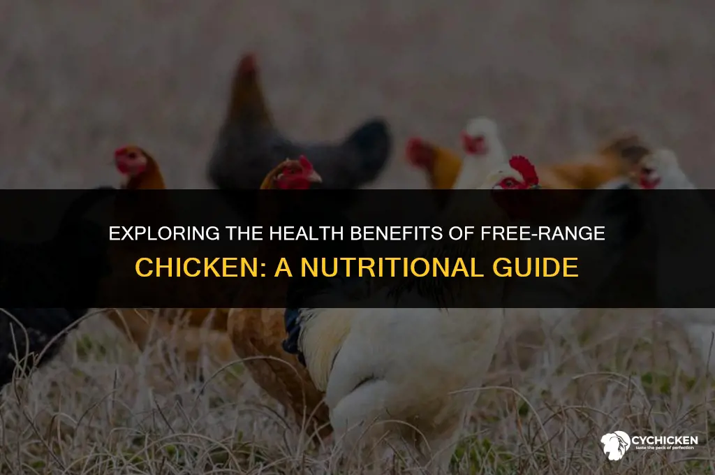 is free range chicken healthier
