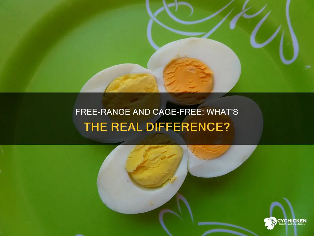 is free range chicken the same as cage free