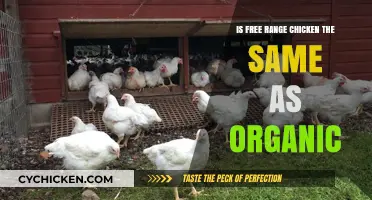 Free Range vs. Organic Chicken: Understanding the Key Differences