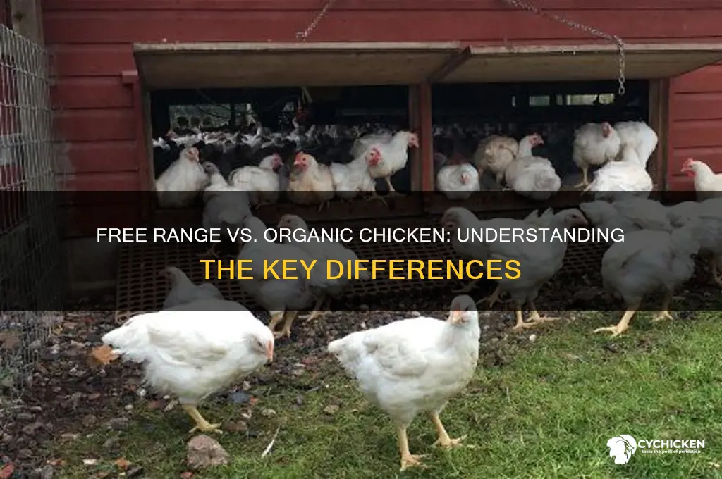 is free range chicken the same as organic