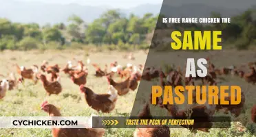 Free Range vs. Pastured Chicken: Understanding the Key Differences