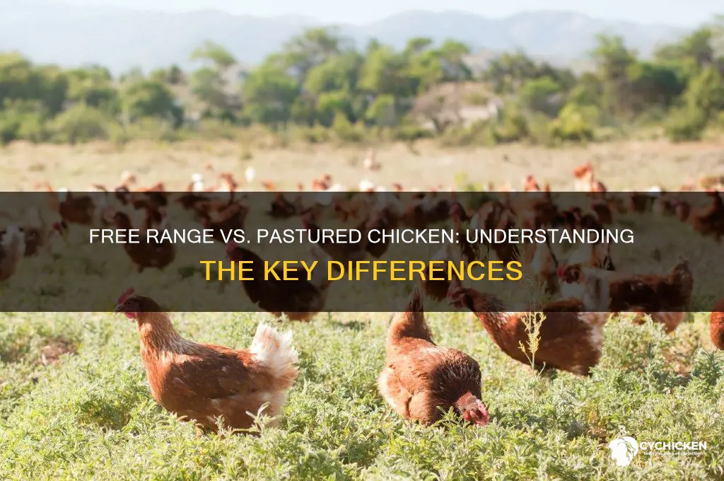 is free range chicken the same as pastured