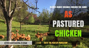 Free-Range, Pastured, and Organic Chicken: What's the Difference?