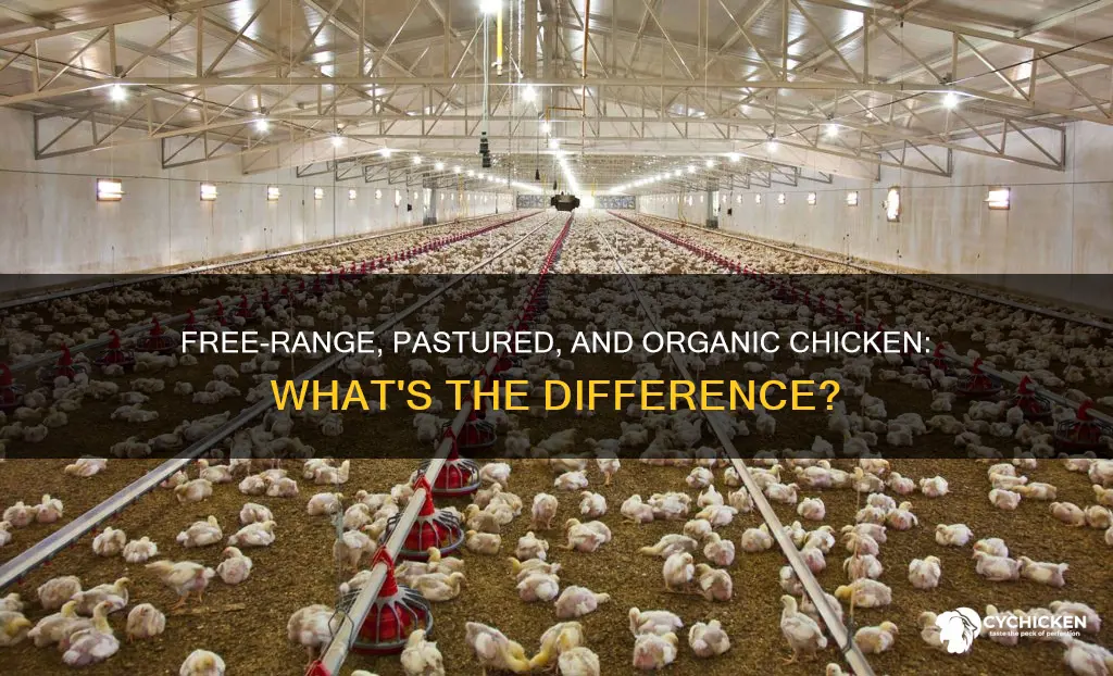 is free-range organic chicken the same as pastured chicken
