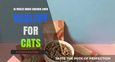 Exploring the Health Benefits of Freeze-Dried Chicken Liver for Cats