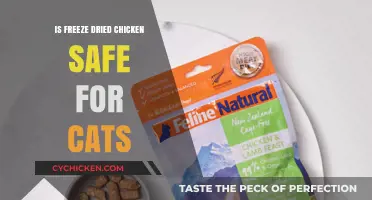 Is Freeze-Dried Chicken Safe for Cats? A Complete Guide