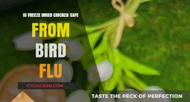 Is Freeze-Dried Chicken Safe from Bird Flu? Facts Revealed