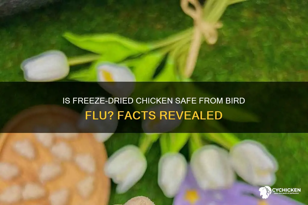 is freeze dried chicken safe from bird flu