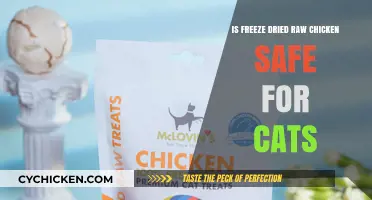 Is Freeze-Dried Raw Chicken Safe for Cats? Expert Insights