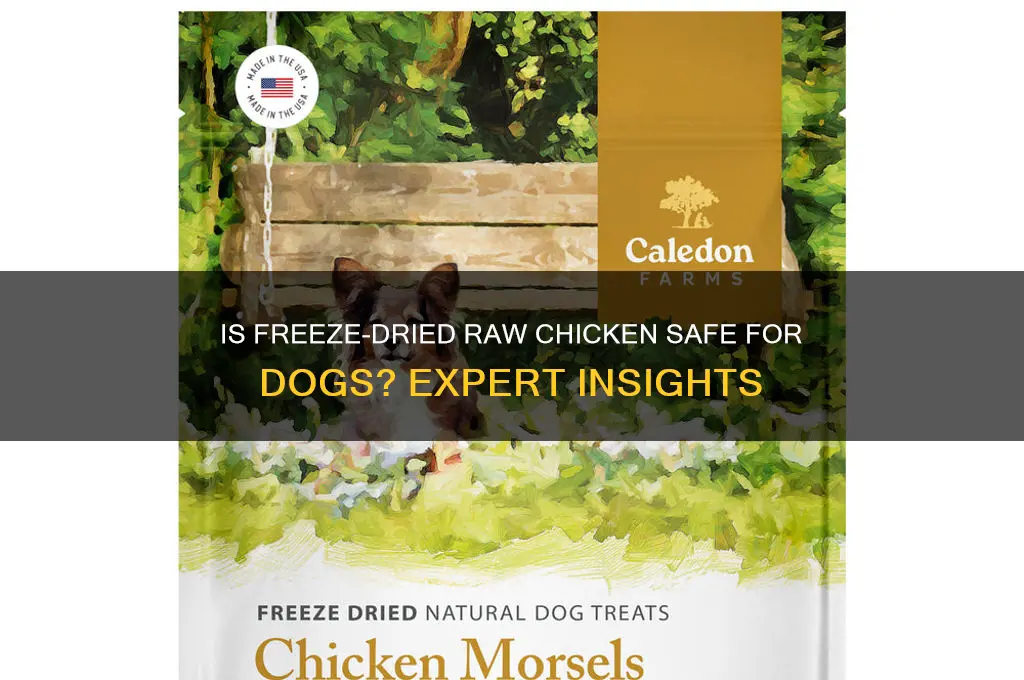 is freeze dried raw chicken safe for dogs