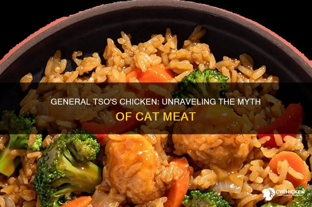 is general tso chicken made of cat