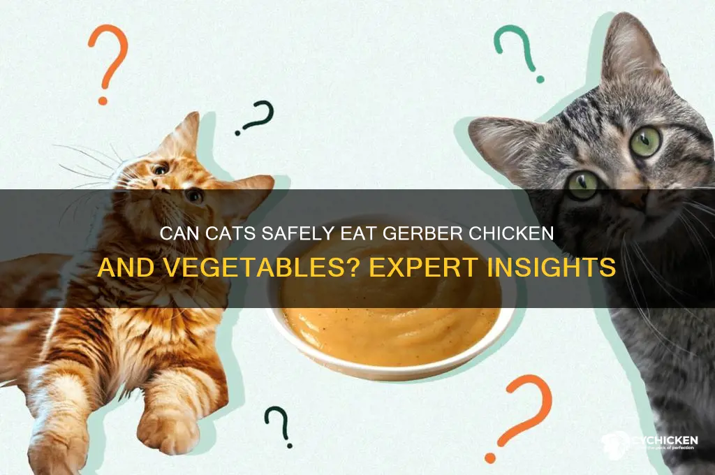 is gerber chicken and vegetables ok for cats