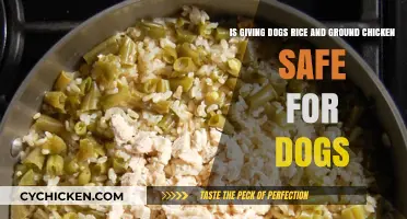 Rice and Chicken: A Healthy Dog Diet?