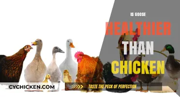 Goose vs. Chicken: Unraveling the Health Benefits of Each