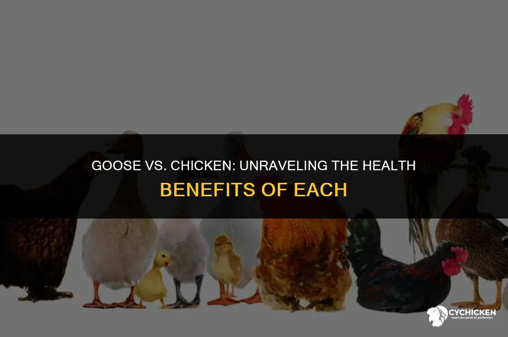 is goose healthier than chicken