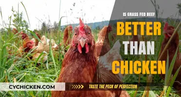 Grass-Fed Beef vs. Chicken: Which Protein Reigns Supreme?