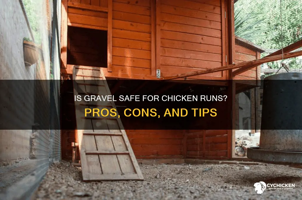 is gravel ok to have in chicken run