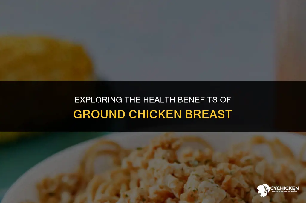 is ground chicken beast healthy