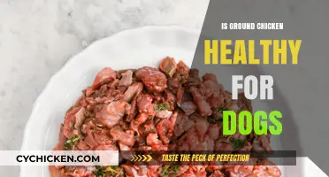 Ground Chicken for Dogs: A Nutritious Choice or Health Hazard?