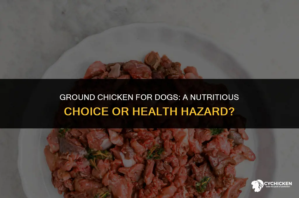 is ground chicken healthy for dogs