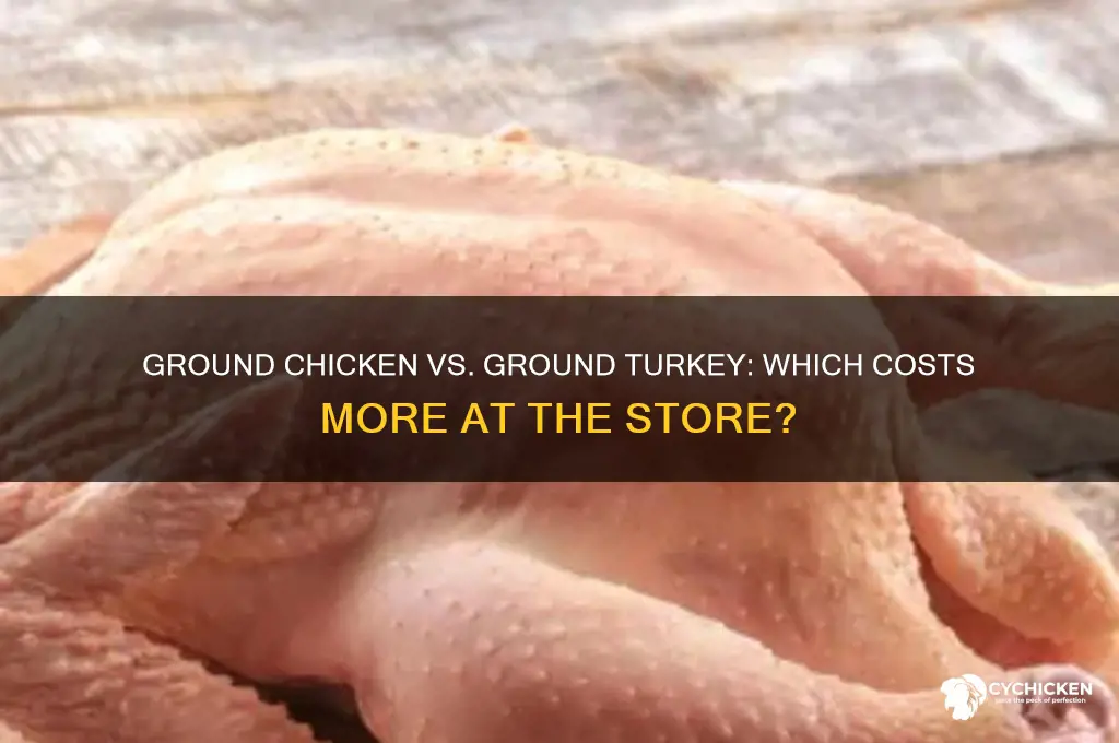 is ground chicken more money than ground turkey