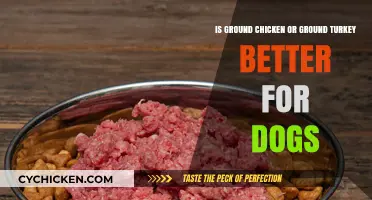 Ground Chicken or Turkey: Which Is Better for Your Dog?