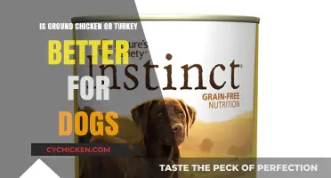 Ground Chicken vs. Turkey: Which is Healthier for Your Dog?