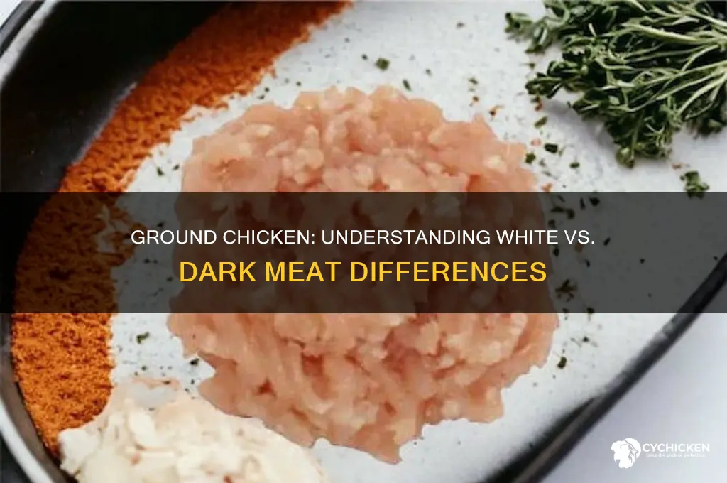 is ground chicken white or dark meat
