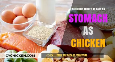 Ground Turkey vs. Chicken: Which Is Easier on Your Stomach?