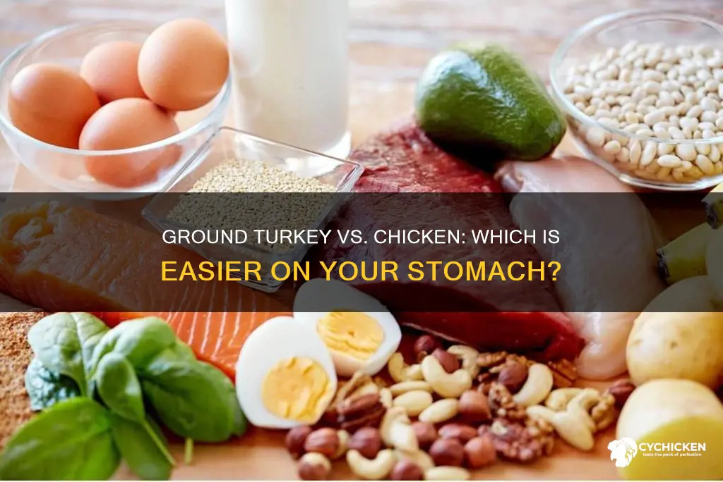 is ground turkey as easy on stomach as chicken