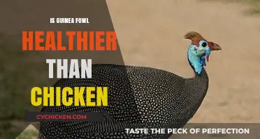 Exploring the Health Benefits: Guinea Fowl vs. Chicken
