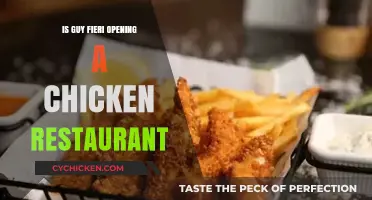 Is Guy Fieri Launching a New Chicken Restaurant Soon?