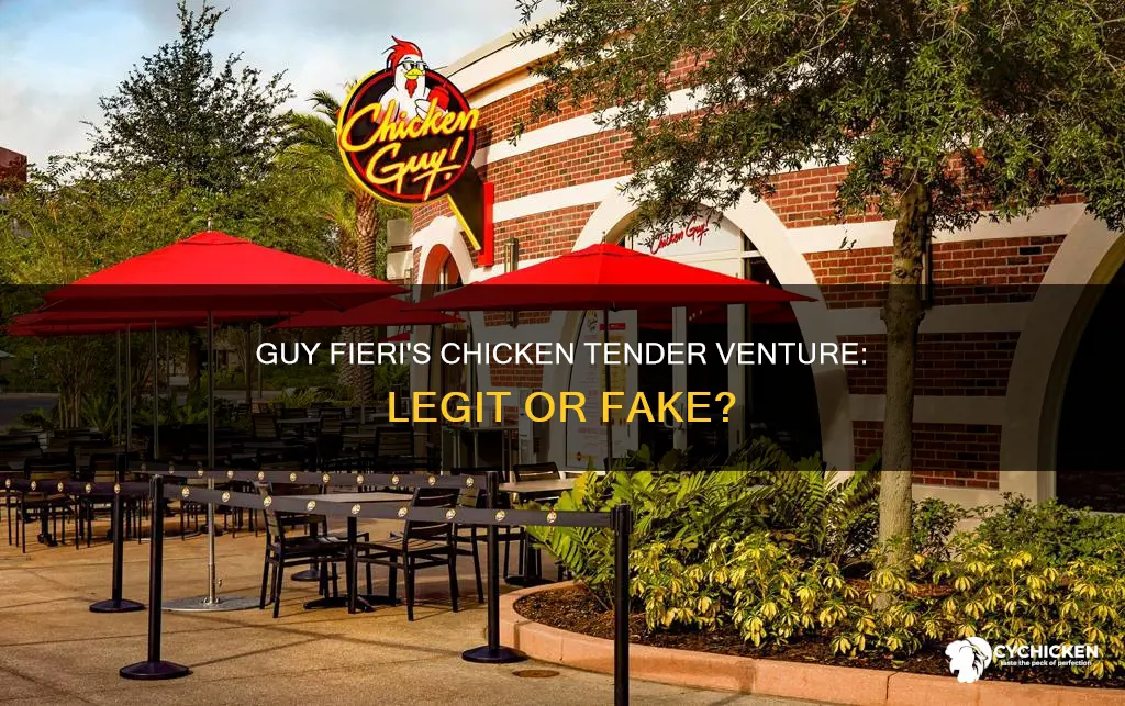 is guy fieri really opening a chicken tender restaurautn
