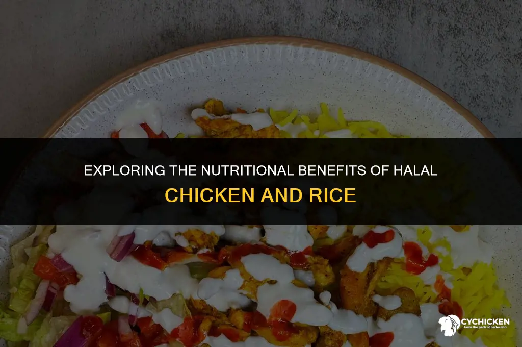 is halal chicken and rice healthy